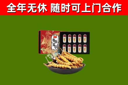 南岳区回收冬虫夏草价格