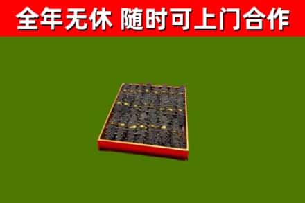 南岳区回收海参